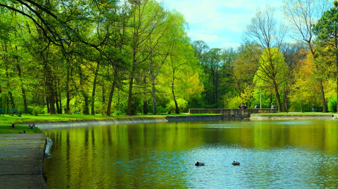 Park na Zdrowiu